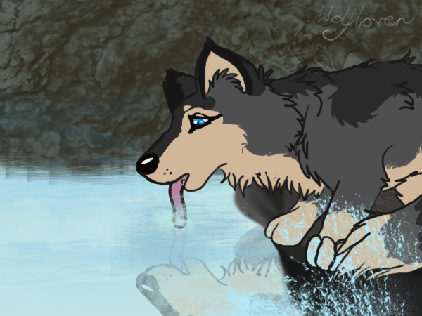 Sparkling sips of Water