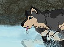 Sparkling sips of Water