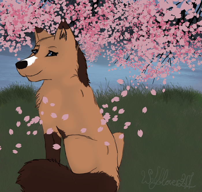 ...:Beautiful Blossoms:...