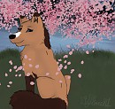 ...:Beautiful Blossoms:...