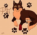 Pat official design changes