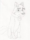 Balto Wins the Dog Show