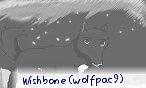 Wishbone (wolfpac9)