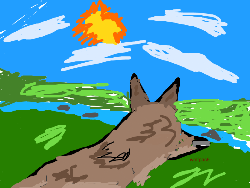 Balto looking at a stream
