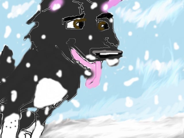 Balto you know