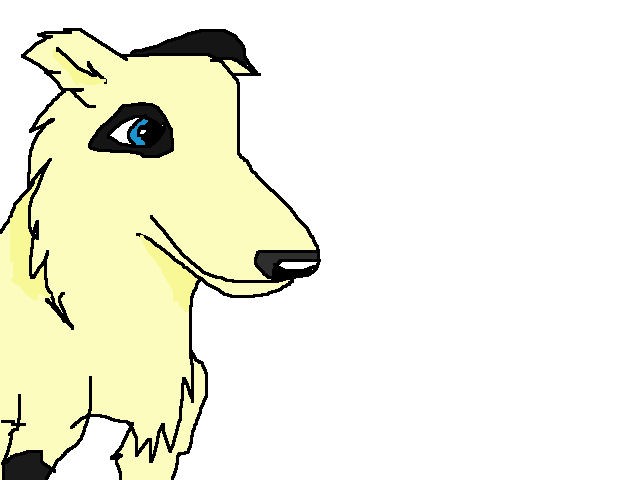 Sallie