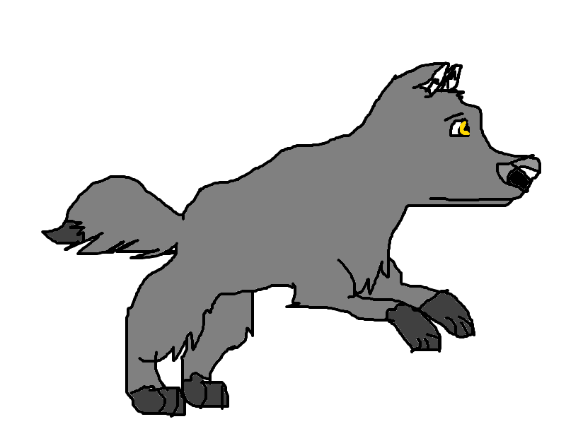 wolf animation