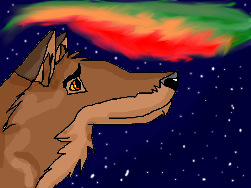 The Northen Lights