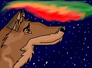 The Northen Lights