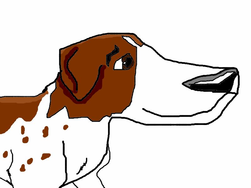 Wishbone again