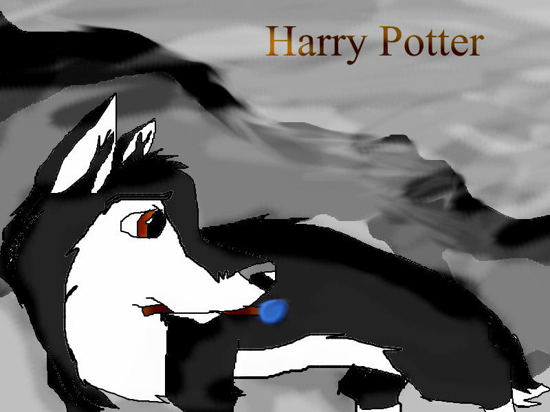 Harry Potter