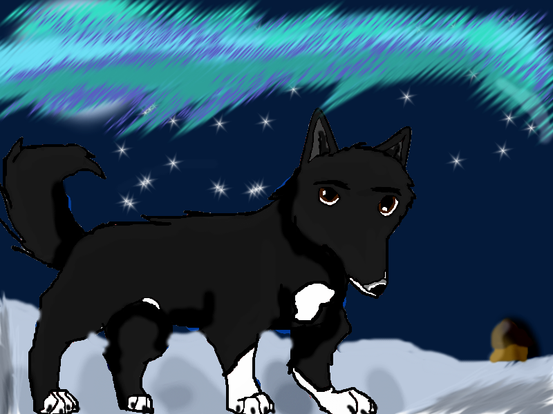 Balto