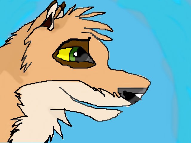 Request for Spirit of the Wild 