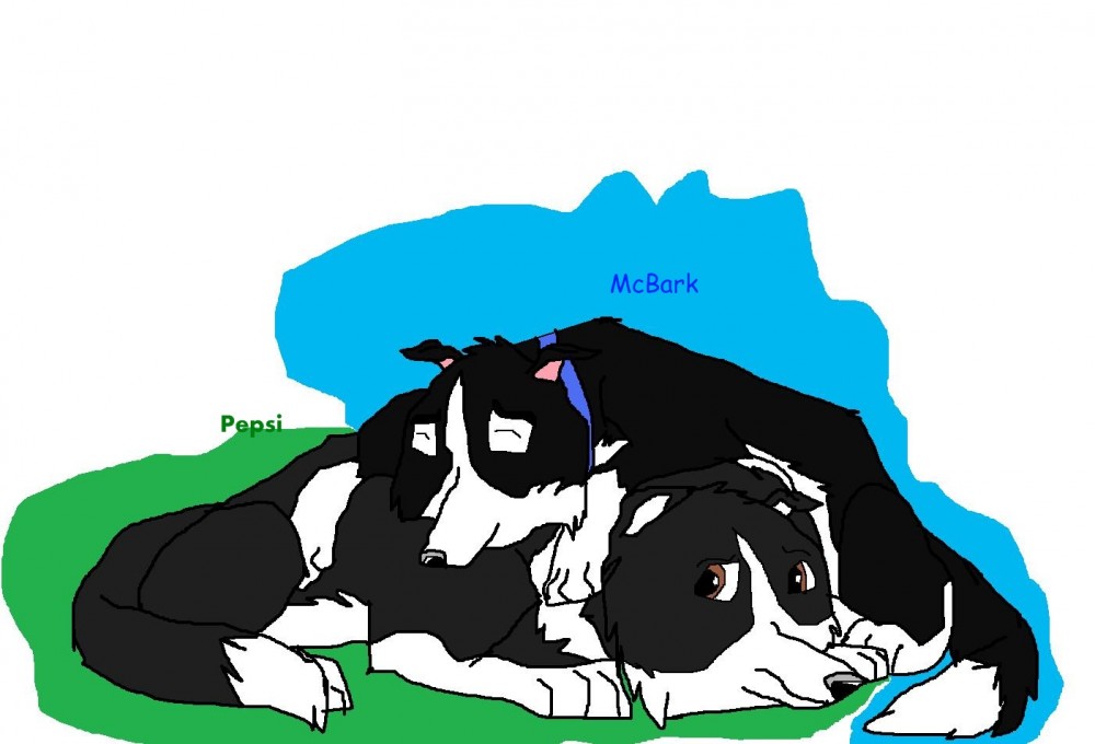 Pepsi and McBark-Little brothers