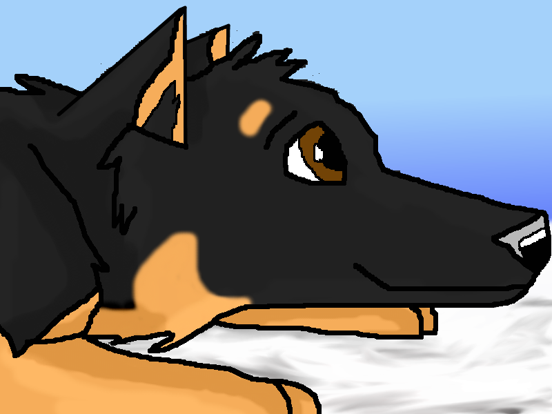 Blitz as a puppy
