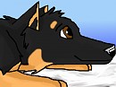 Blitz as a puppy