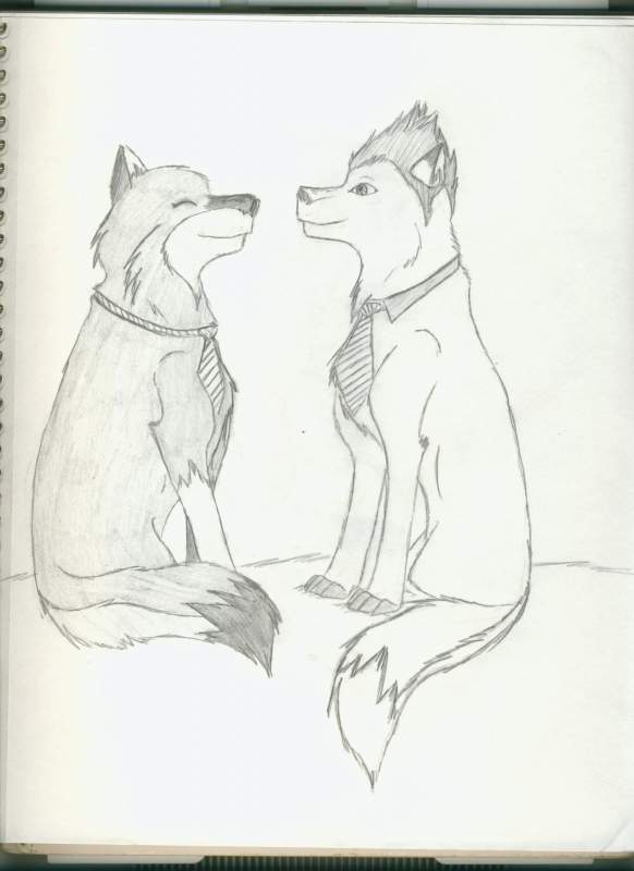 Tre Cool and me as Wolves