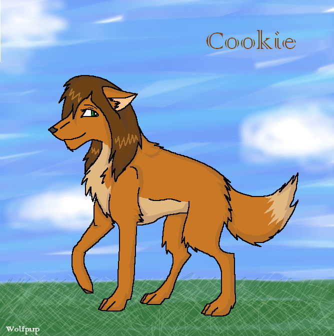 Cookie