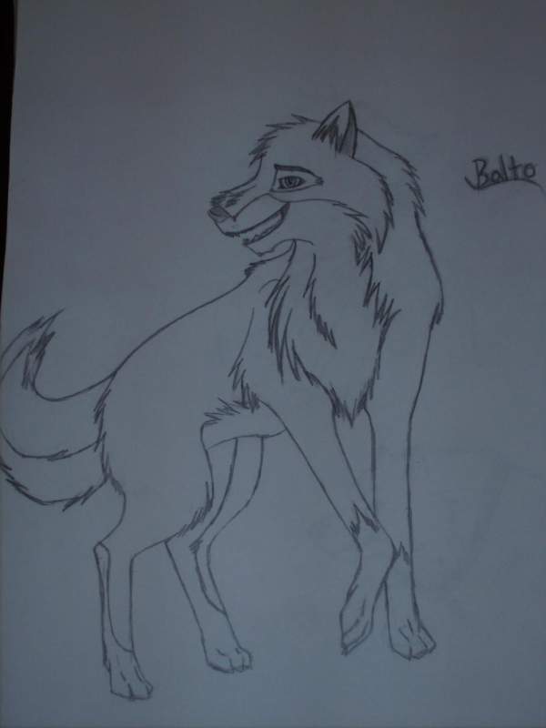 Balto Sketch