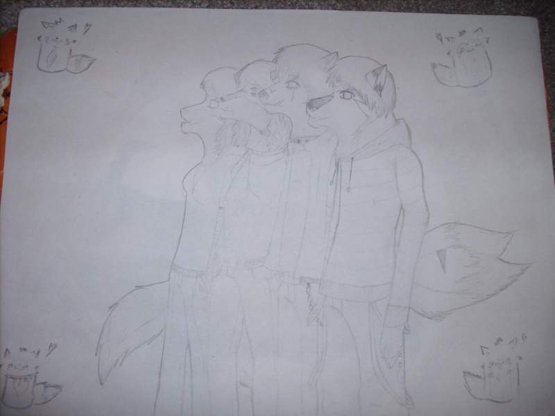 My characters-Anthro