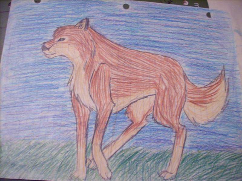 Old Balto Drawing