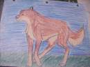 Old Balto Drawing