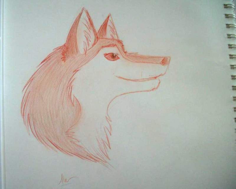 Aleu-Colored Pencil