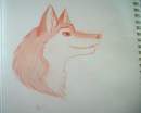Aleu-Colored Pencil