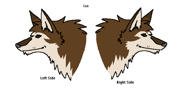 Ian-quick reference
