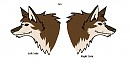 Ian-quick reference