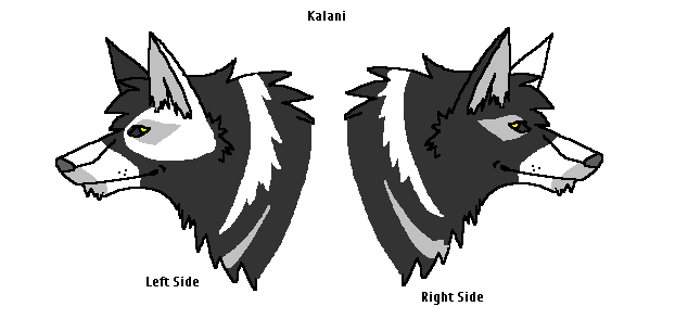 Kilani-quick reference