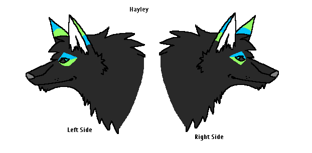 Hayley-quick reference