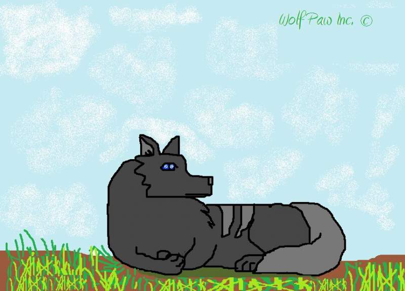 Dark Storm, The Medicine Wolf.