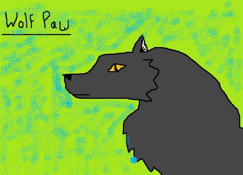 Wolf paw 