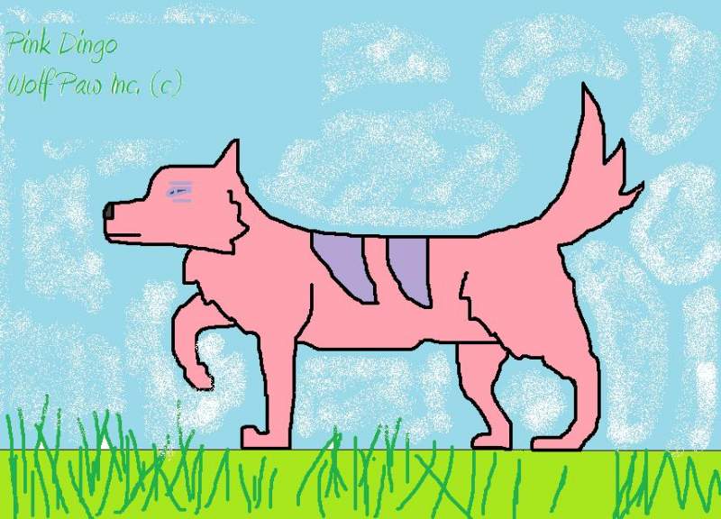 Pink Dingo