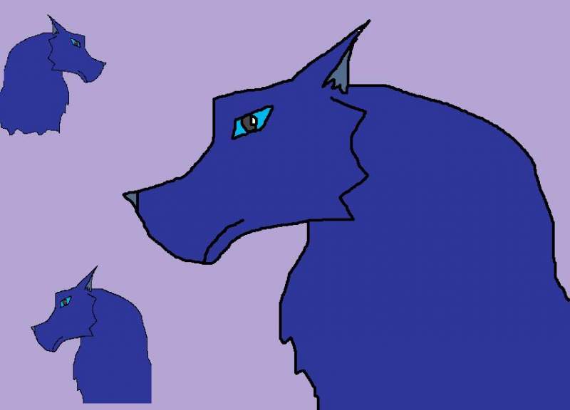 blue storm