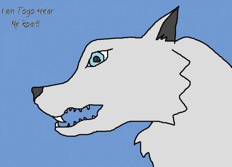 Togo Roars