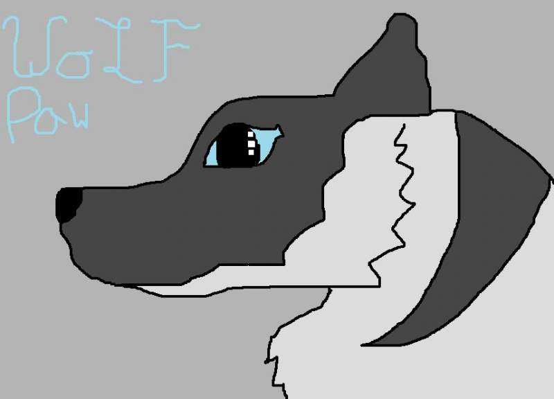wolf paw