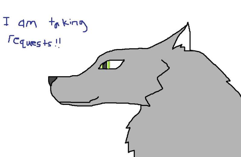 i am now taking requests!!