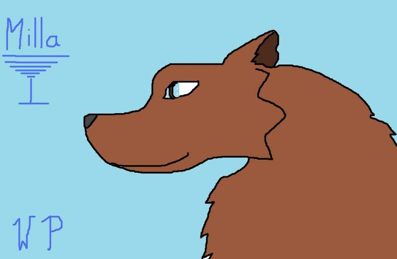 art given to star67