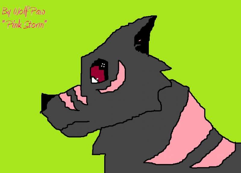 Pink Storm