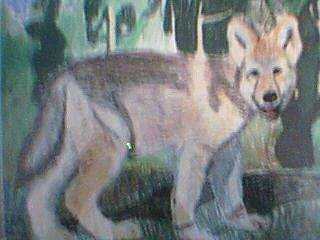 wolf paw in puppy form drawn in colored pencil