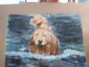 Dog drawn in water color