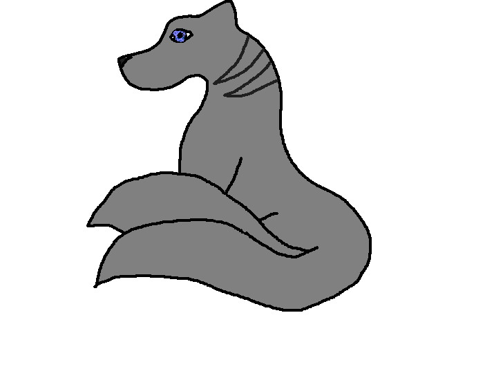 wolf on computer!