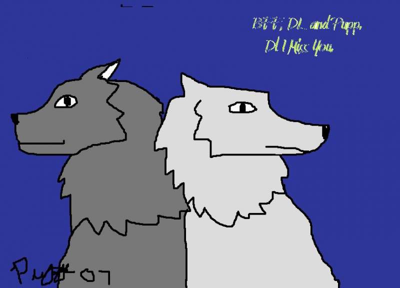 BFF, DL and Pupp