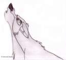 Balto