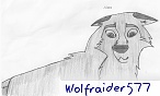 wolfraider577