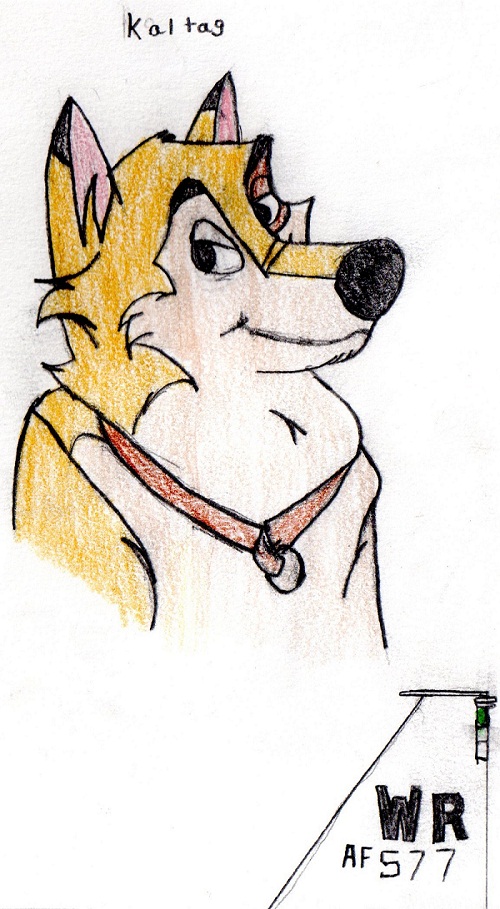kaltag sketch