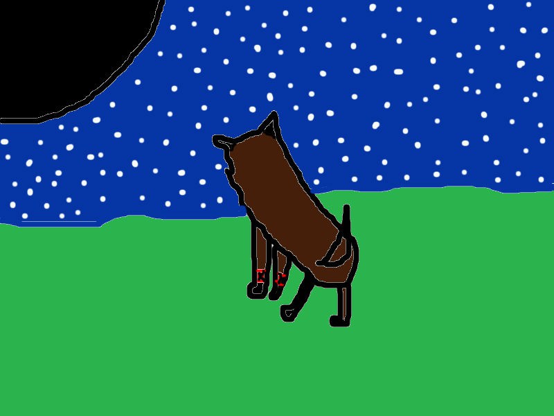 chases howl
