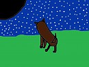 chases howl
